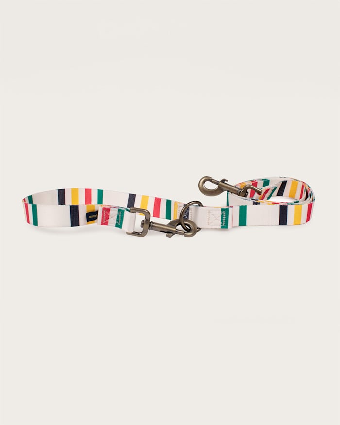 GLACIER NATIONAL PARK ADVENTURE LEASH